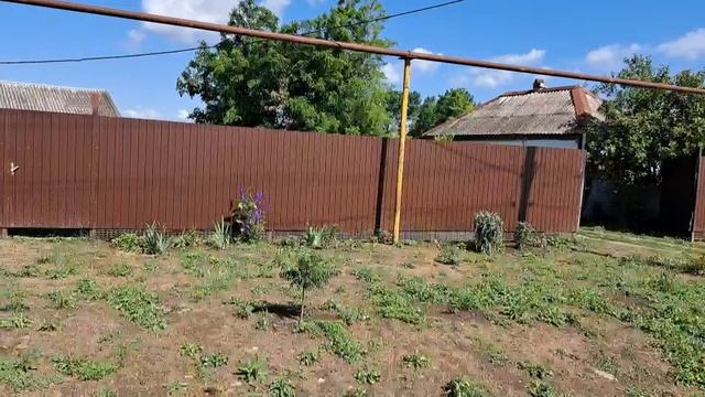1000175359.mp4