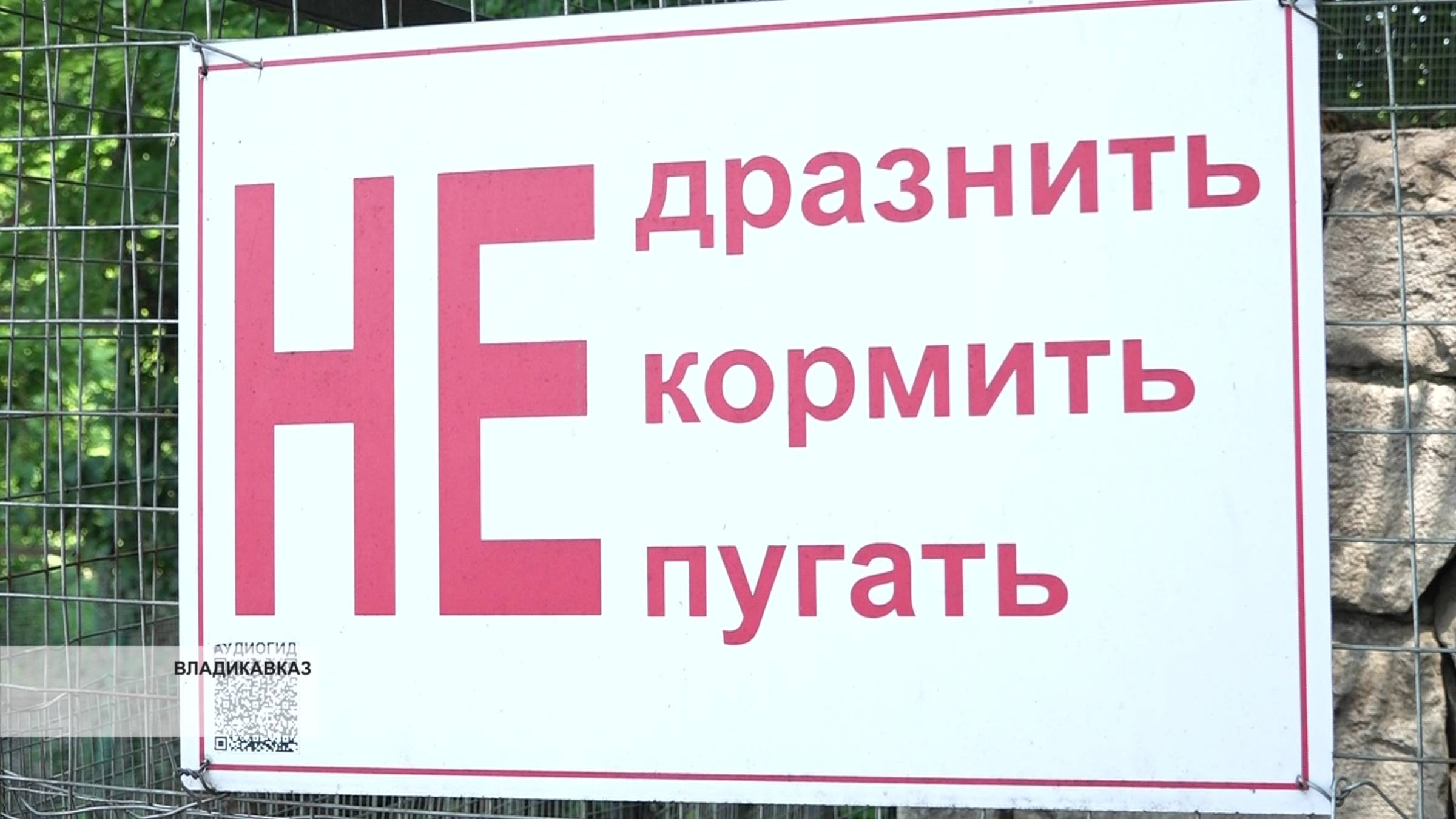 Во Владикавказском зоопарке показали в каких условиях содержатся животные