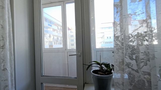 СНЕЖИНОЙ
