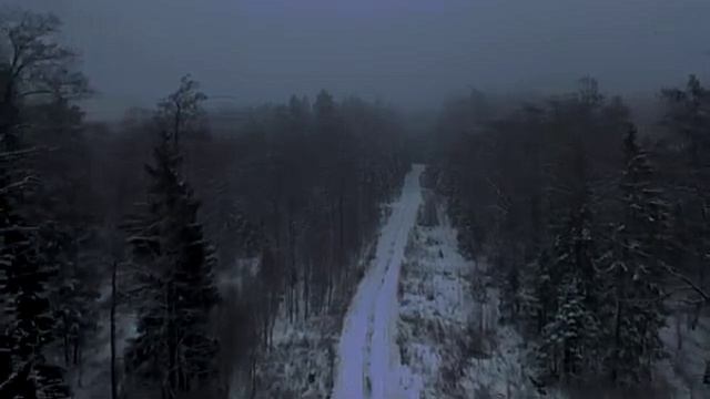Это просто непостижимо… пишет мама Роберта Рождественского — Зная о своей скорой кончине, вел себя д