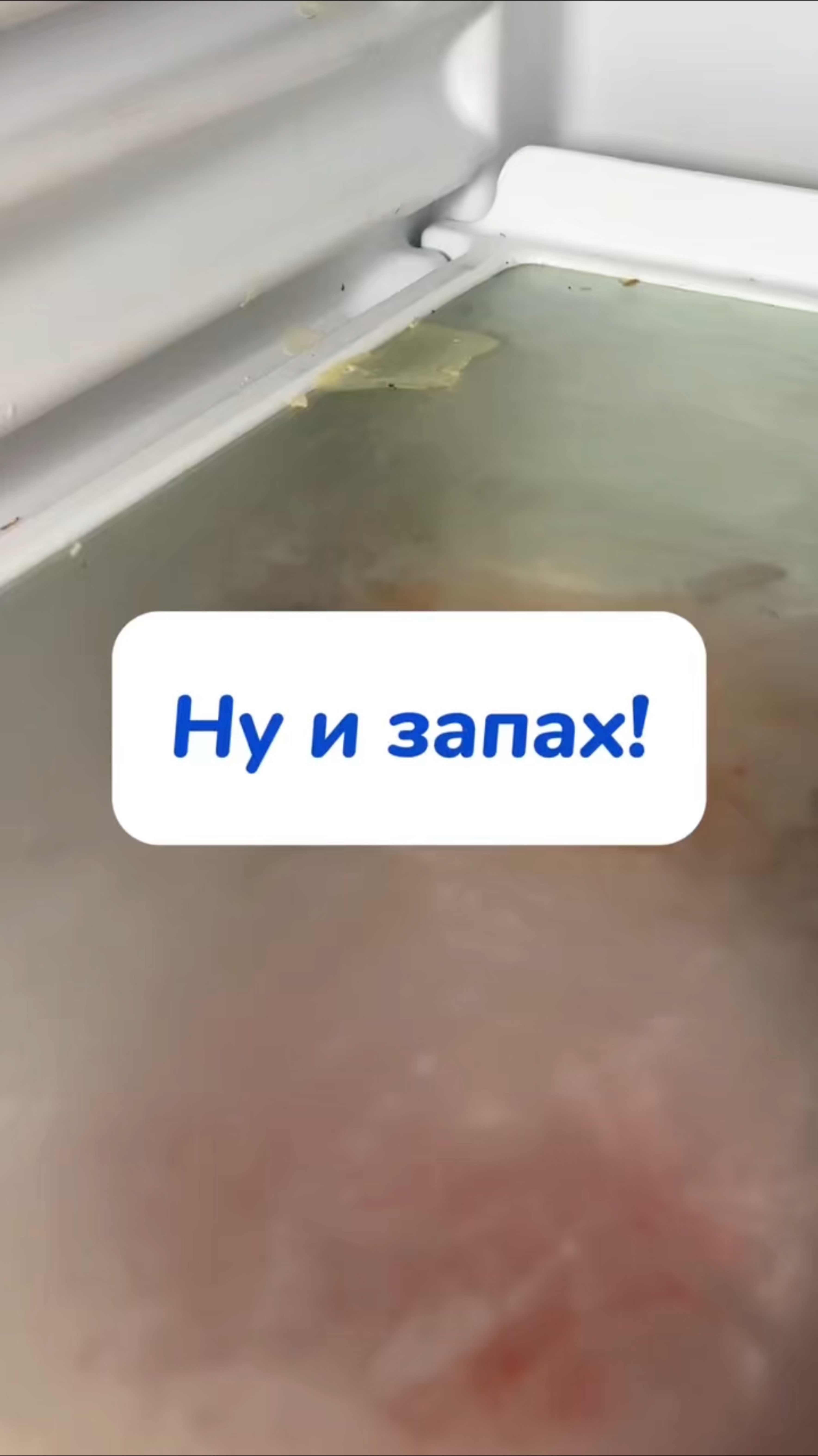 Избавит от грязи,запаха, и сбережет ваши нежные руки! Артикул на WB #234577722 
Ozon #1664064287