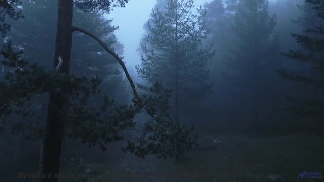 Любовь к природе через музыку! - Deep-Mists -- Ketsa -- Summer With Sound