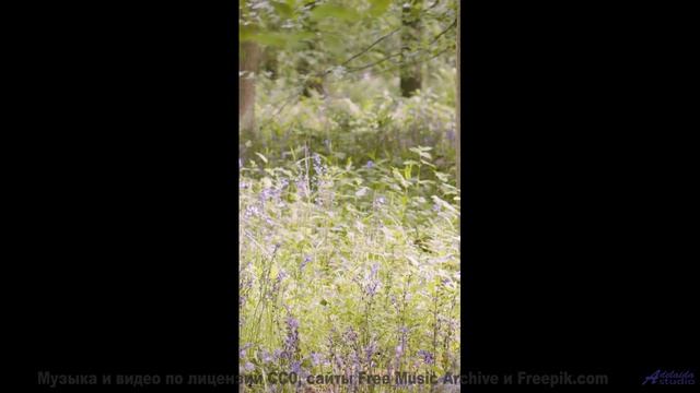 Это видео ПЕРЕВЕРНЁТ твой мир! - Since Seventeen -- Derek Clegg -- The Best Of Number 3