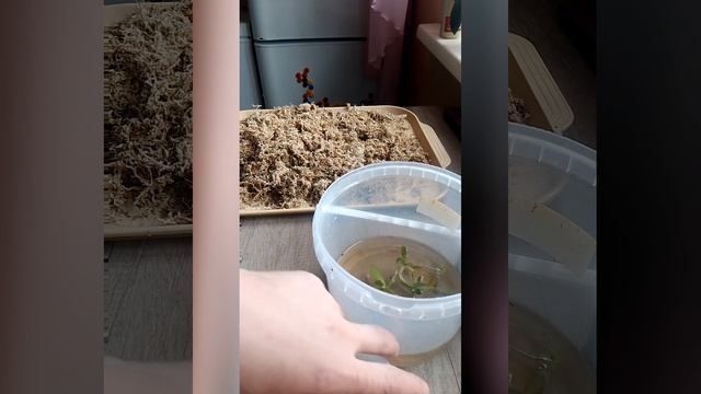 Размываем фласку без страха!👌 Все легко и просто❤️.mp4
