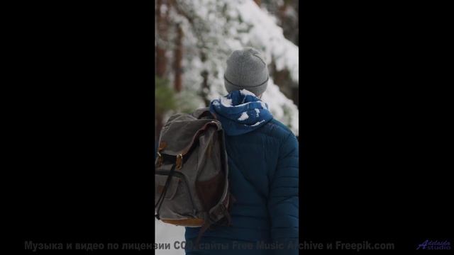 Душа вылетает из тела при таких пейзажах и звуке - Jingle Bells -- Scott Holmes Music -- Christmas B