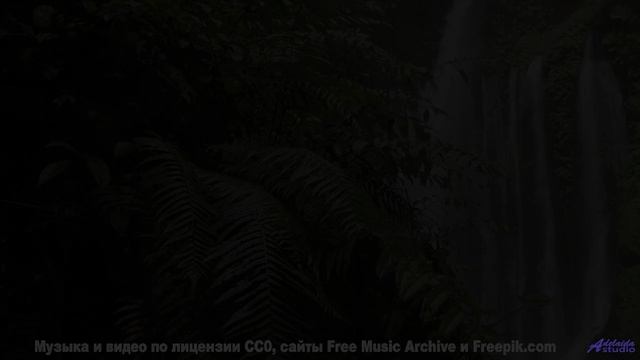 Это видео - как объятие древнего дерева! - Aurelie -- Rotor Perdition -- Rotor Perdition Exists