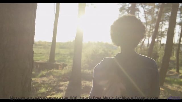 Звуки, которые оживляют пейзажи! - Good Vibes -- HoliznaCC0 -- Left Overs