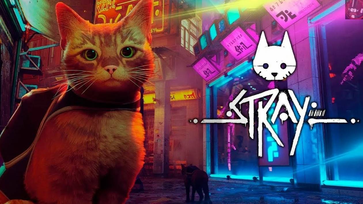 STRAY - Прохождение игры #2