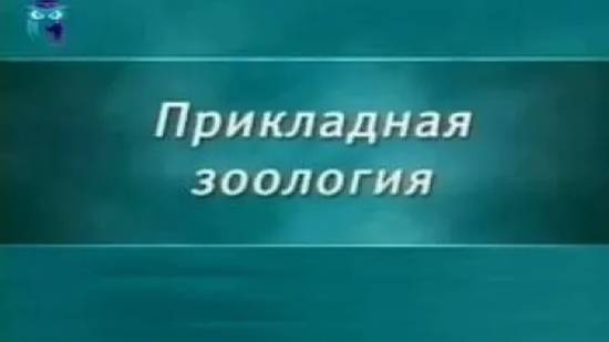 Зоология # 1.4. Круглые черви - паразиты растений и животных