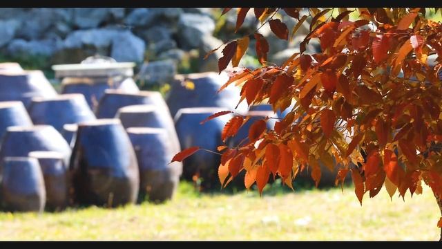 Краски осени 21