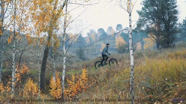 Видео, которое можно понять только с расширенным сознанием - испытайте! - Se pulcro (XXXVIII) -- opo