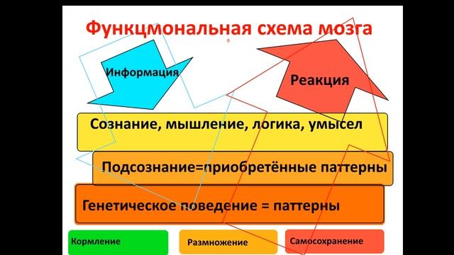 Скамейка на Луне. Продолжим, кукушата_