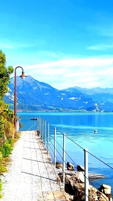 Камера засняла что-то неожиданное