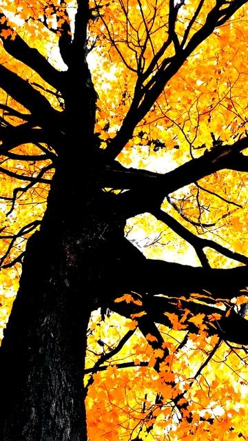 Шокирующие кадры