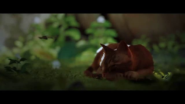 STRAY - Прохождение игры #1