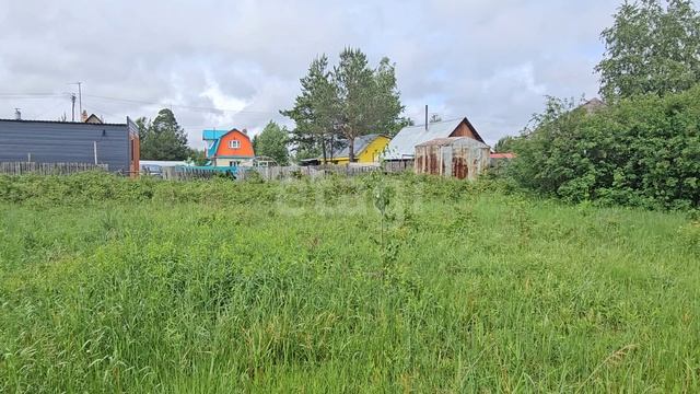 8544427 Победит 2