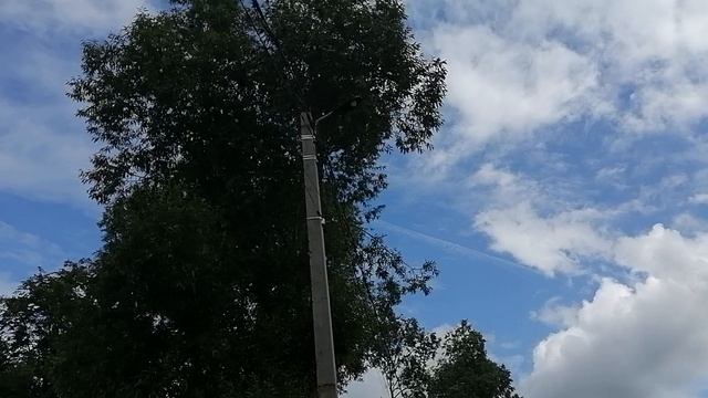 21.06.2025.Обзор проблем, вопросов, обращений, проделанных работ Д.Ляхово.Домодедово.Московская обла