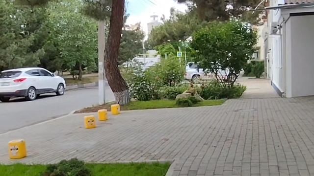 ШВЕДСКИЙ СТОЛ УЖИН - Отель БОСПОР Анапа. анапа
