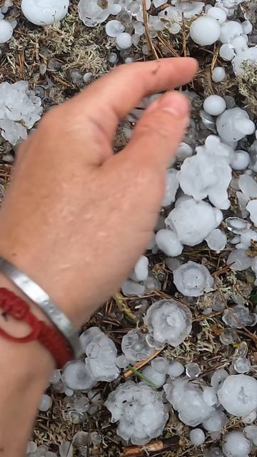 Град.