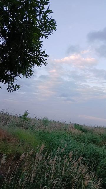 природа 34