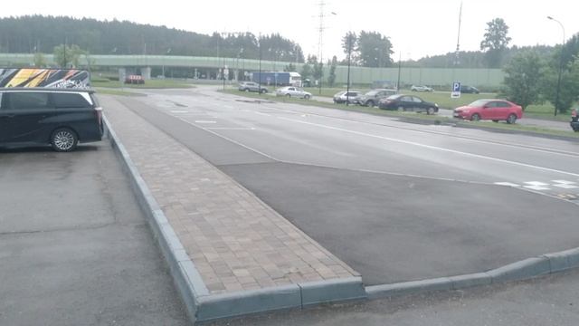 Дикие утки пришли на работу !