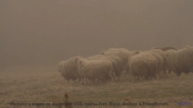 Никогда не видел таких полей под такой саунд - Alcoholism -- HoliznaCC0 -- THE NOISE - Barely Fauna