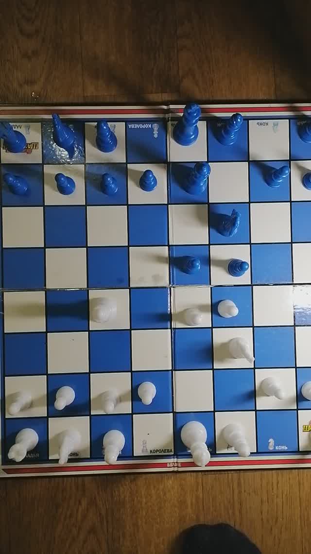 Шахматы