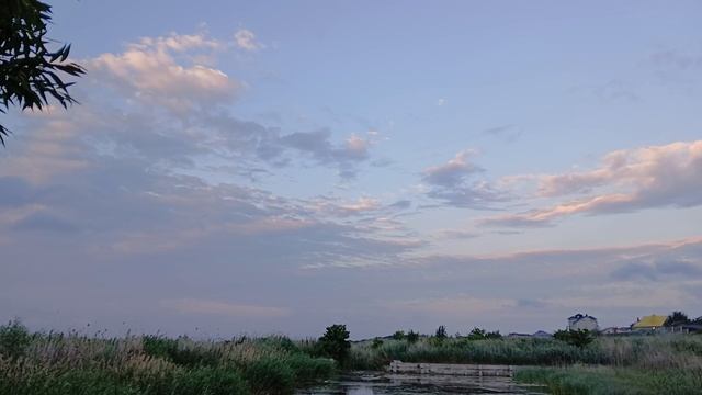 природа 35