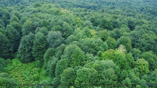 Закройте глаза и представьте его... Эта музыка проведёт вас через мечты! - Keep Stepping -- Kirk Osa