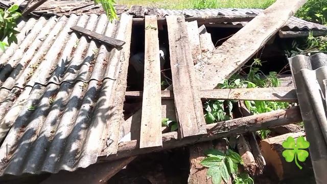 Вторая жизнь в русской деревне .пос.Санкино
