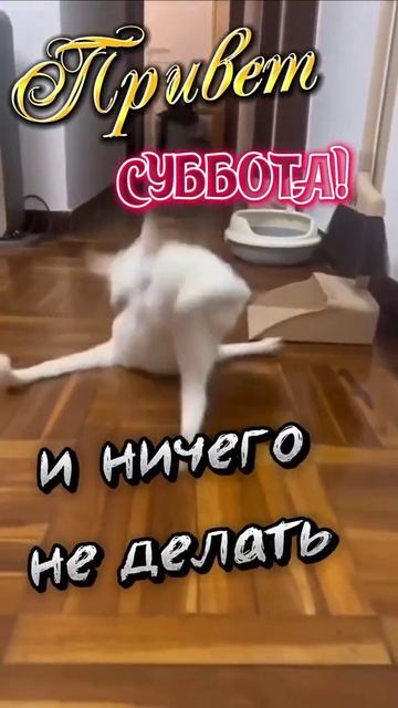 Доброго Субботнего Дня Друзья 💖💖💖
