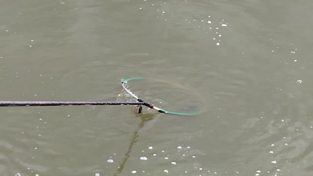 1000030941.mp4