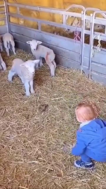 Настоящий помощник