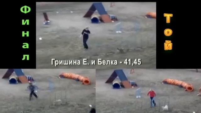 Финал Белка, Томми и Орхидея