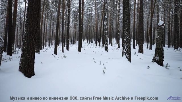 Звуки, создающие голограммы - будущее уже здесь! - Lost In Your Eyes -- HoliznaCC0 -- Lost