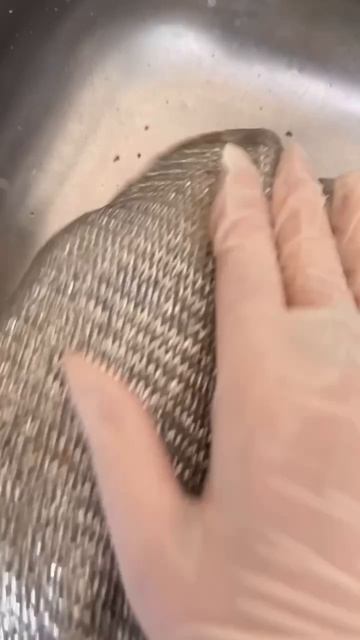 1000053691.mp4
