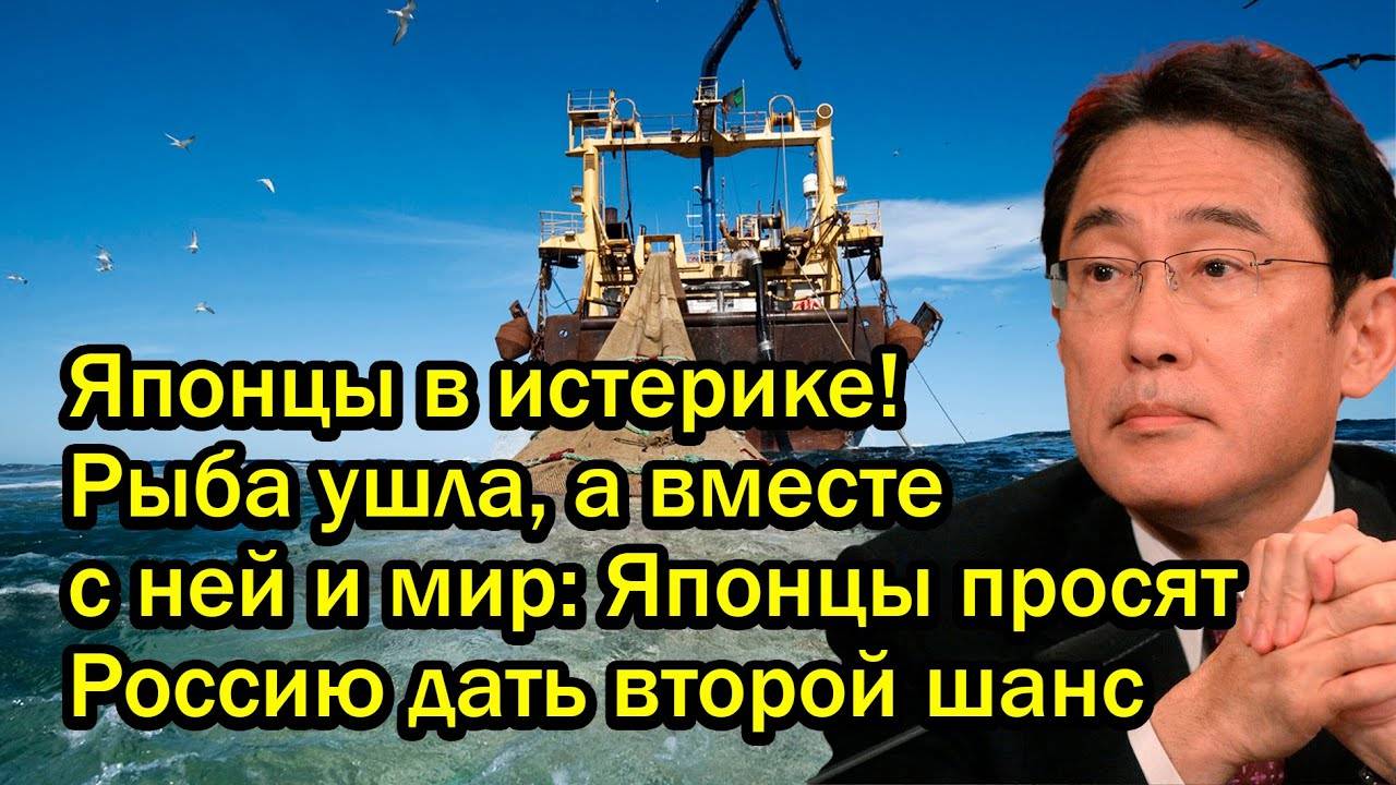 Японцы в истерике! Рыба ушла, а вместе с ней и мир: Японцы просят Россию дать второй шанс