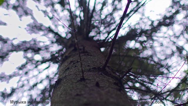 Природа, увиденная через глаза инопланетян - технологии контакта! - I Dont Wanna Fall In Love -- Fas