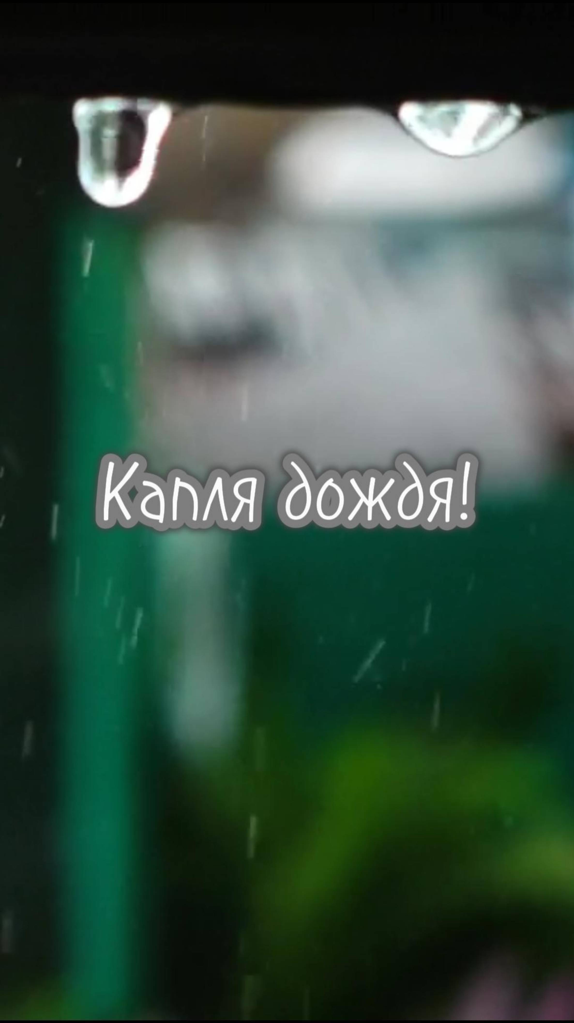 Пасмурное лето. Дождя приветы.