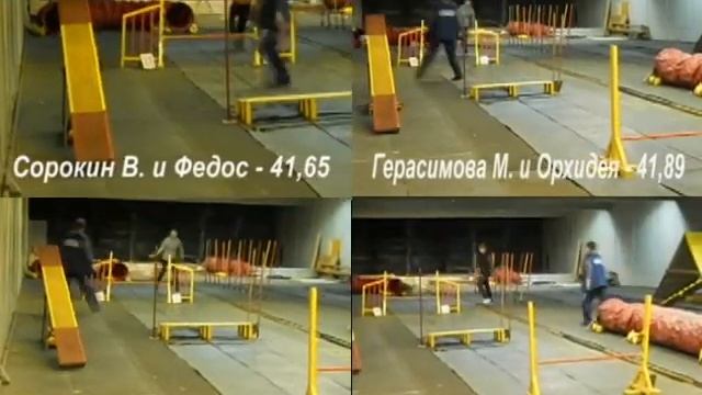 Видеосравнение Первенство аджилити.avi