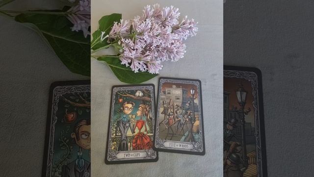 Девы ♍, ваша неделя с 23 по 29 июня.