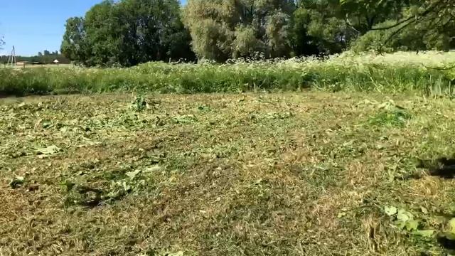 VID-20250611-WA0026