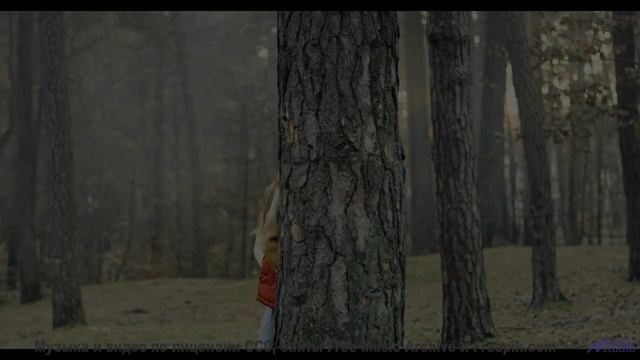 Мелодия, которая делает остановку у придорожного кафе незабываемой - Why-Wait -- Ketsa -- The Lost F