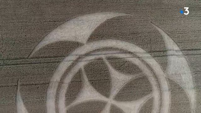 Круги на полях 54