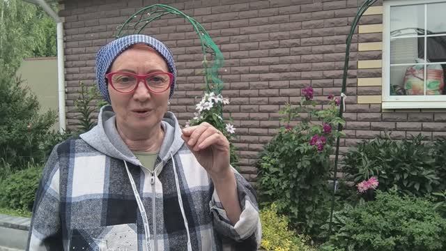 21-06-2025г.Жизнь в деревне.🏡 Хроника дня.