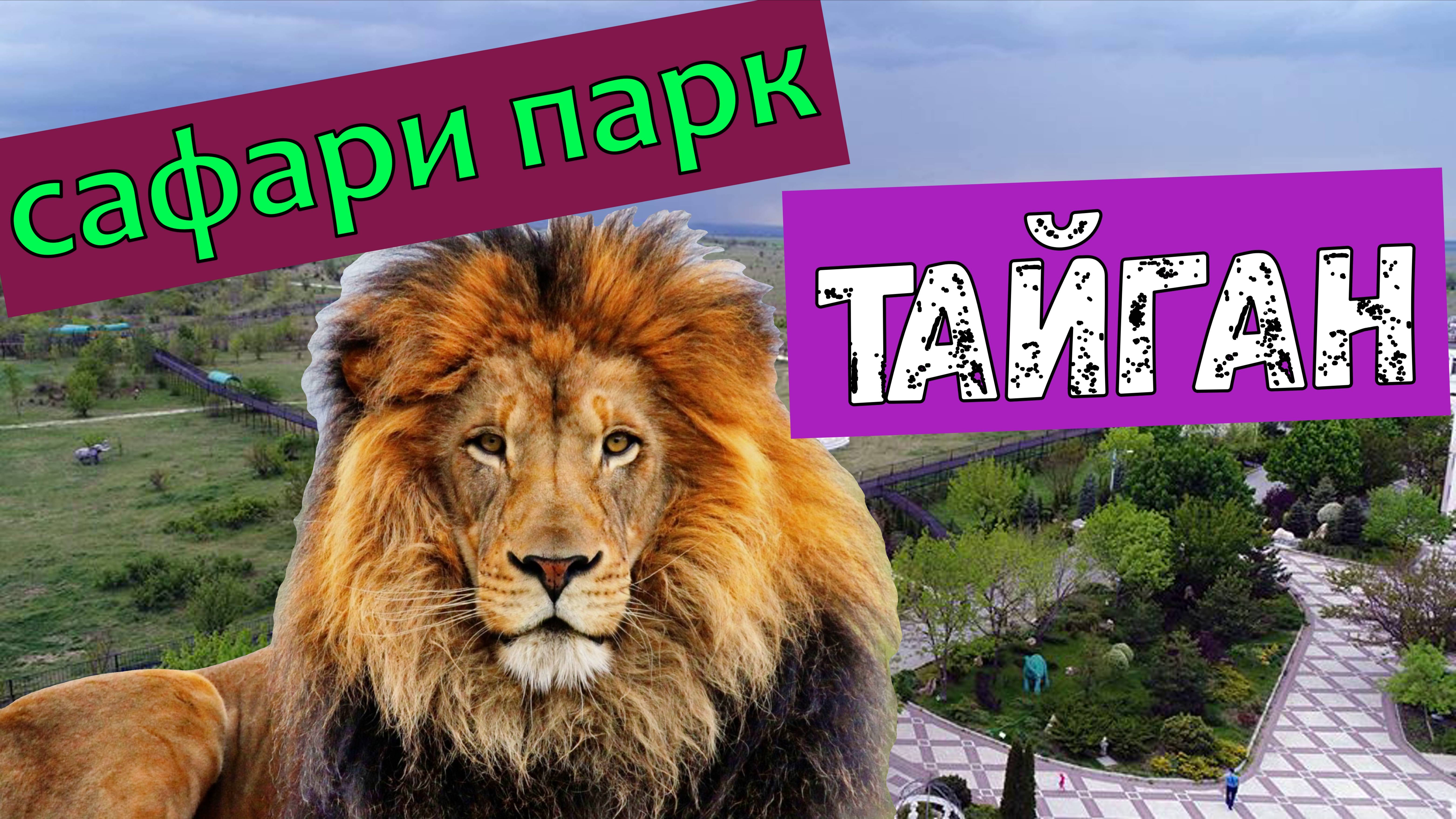 🌞 Летний день в Тайгане: удивительные приключения среди животных!