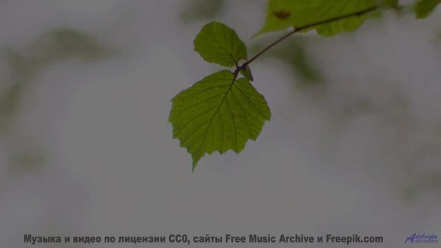 Прогуляйтесь под эту мелодию - и день станет незабываемым! - House on a Tree -- Crowander -- Commerc