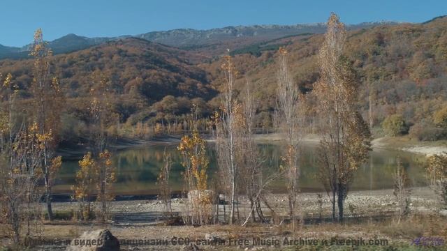 Леса танцуют в такт каждой новой ноте - FunkBox -- Ketsa -- Through to Fall