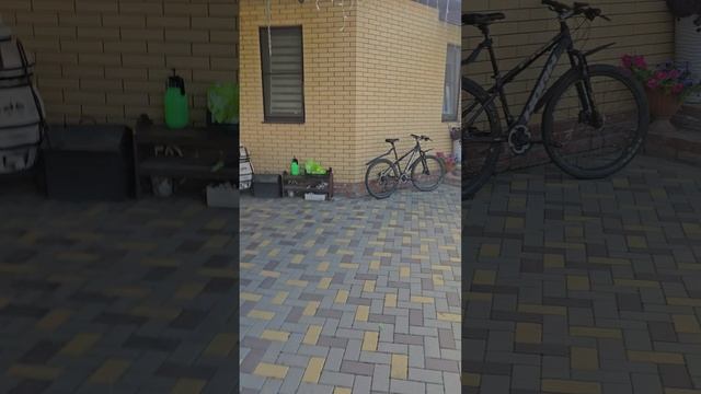 1000404193.mp4