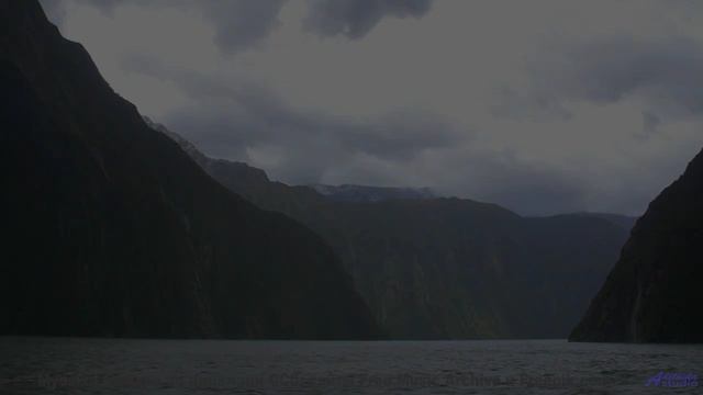 Лес превращается в сказку, стоит лишь включить звук - Dawn Of The End -- Ketsa -- Metaphysics